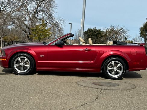 Used 2005 Ford Mustang GT Premium image 7