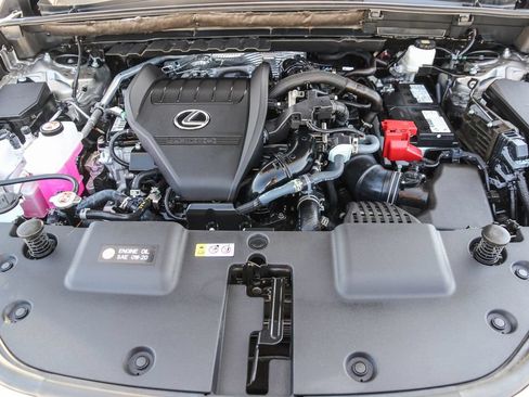 Certified 2025 Lexus NX 350 AWD w/ Cold Area Package image 27
