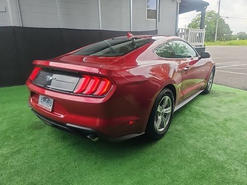 Used 2020 Ford Mustang Coupe RWD image 4
