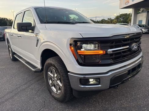 Used 2025 Ford F150 XLT w/ Equipment Group 301A Standard AWD/4WD image 3