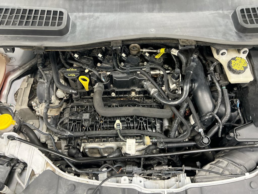 Used 2019 Ford Escape SE FWD image 24