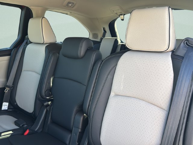 Certified 2026 Honda Odyssey Elite image 13