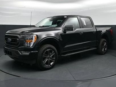 Used 2023 Ford F150 XLT w/ Equipment Group 302A High