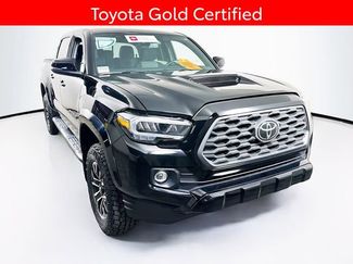 Certified 2023 Toyota Tacoma TRD Sport w/ Black Out Package (TMS) video 1