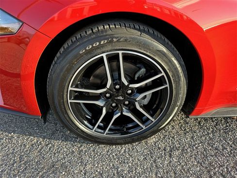 Used 2019 Ford Mustang Premium w/ Equipment Group 101A image 10