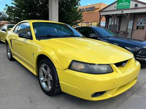 Used 2001 Ford Mustang Cobra RWD image 4