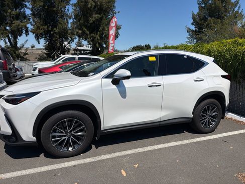 Used 2025 Lexus NX 350h AWD w/ Cold Area Package image 3