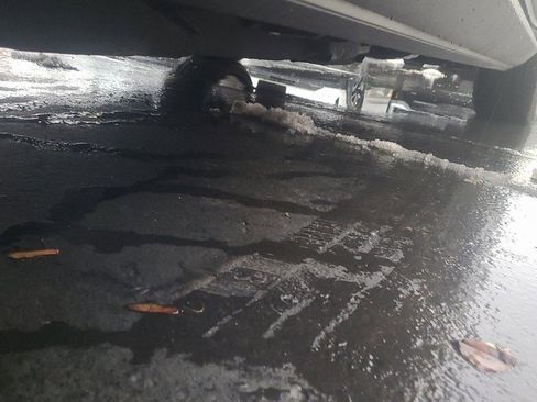 Used 2023 Cadillac Escalade ESV Premium Luxury Platinum w/ Heavy-Duty Trailer Package image 18