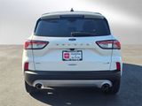 Used 2020 Ford Escape SE image 4