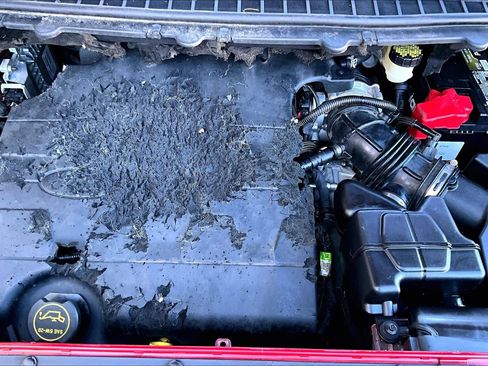 Used 2016 Ford Edge SEL w/ Equipment Group 201A image 31