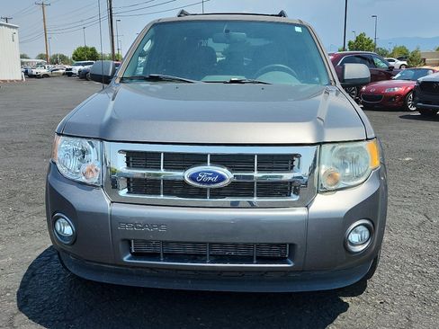 Used 2011 Ford Escape XLT w/ 203A Rapid Spec Order Code AWD/4WD image 2