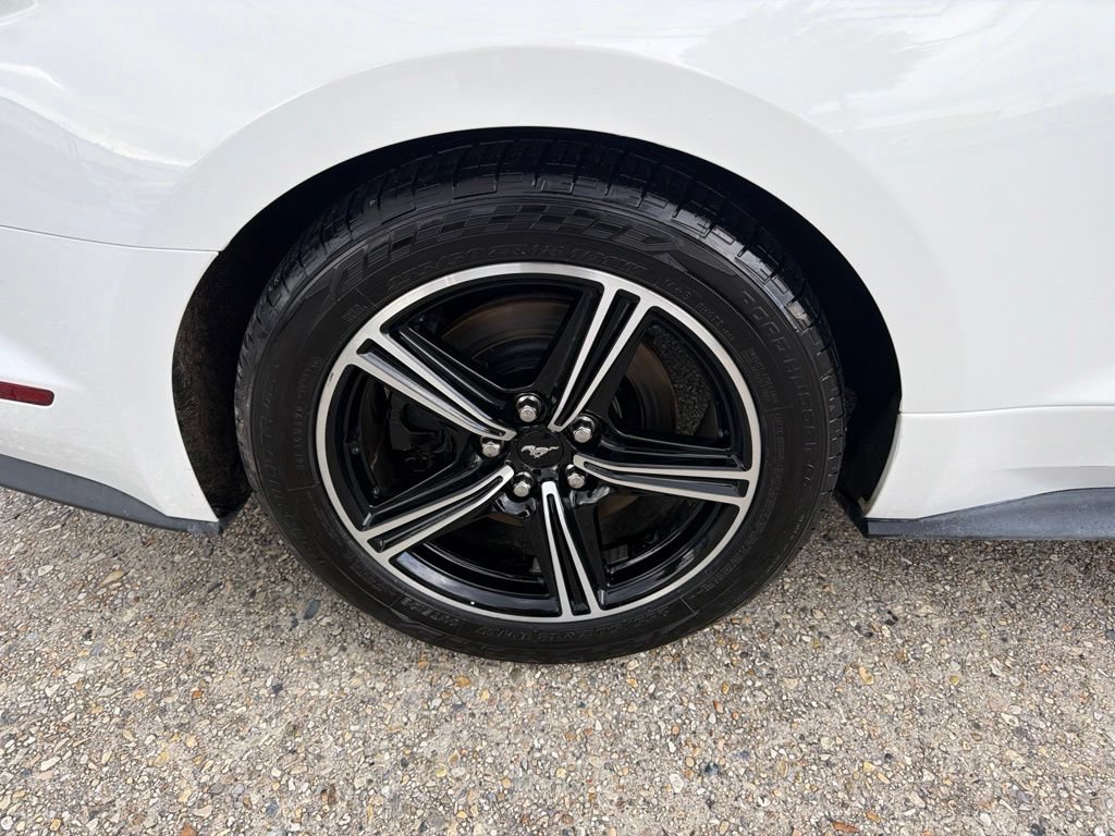 Used 2016 Ford Mustang GT Premium w/ Equipment Group 401A RWD image 17