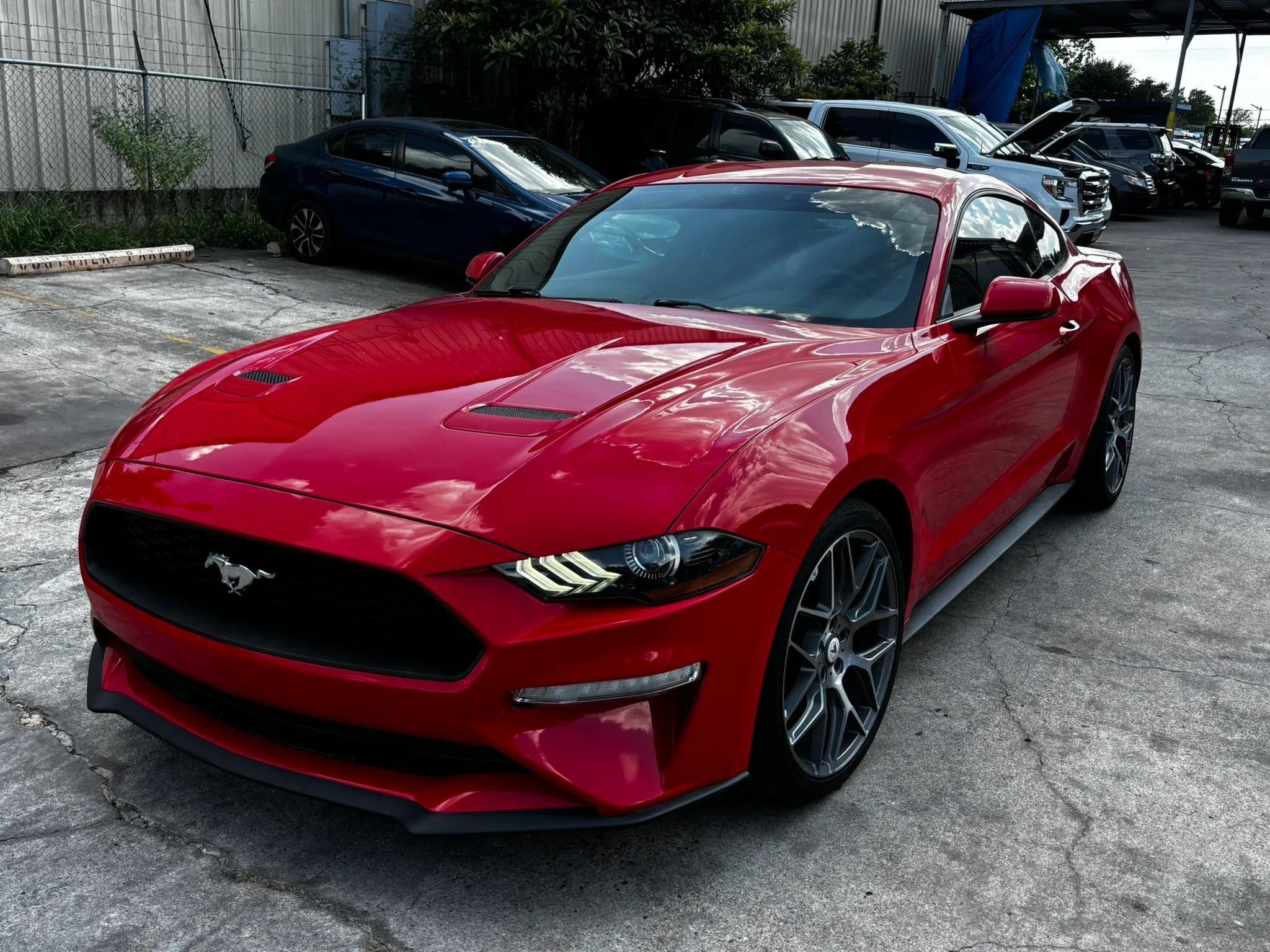 Used 2019 Ford Mustang Coupe RWD image 3