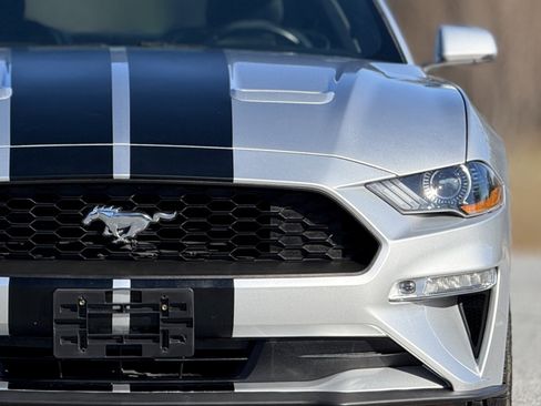 Used 2019 Ford Mustang Premium image 14