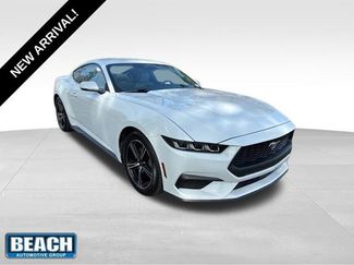 Used 2024 Ford Mustang Premium video 1