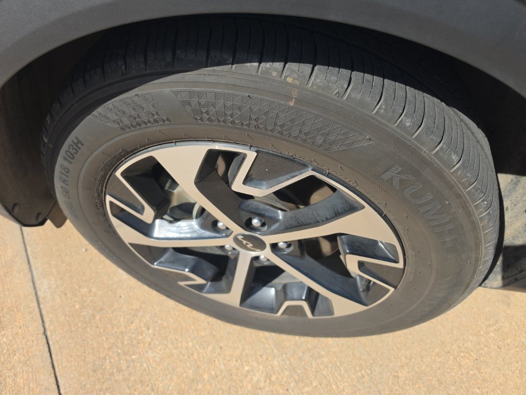 Used 2025 Kia Sportage EX w/ Premium Package FWD image 12