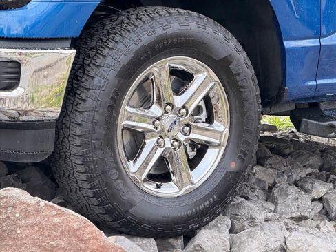 Used 2025 Ford F150 XLT w/ Equipment Group 301A Standard image 30