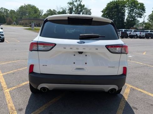 Used 2020 Ford Escape SE AWD/4WD image 6