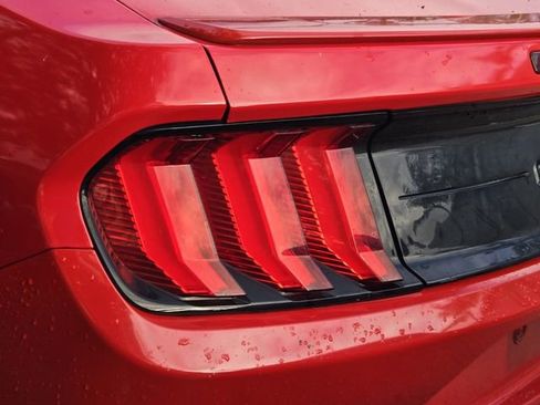 Used 2019 Ford Mustang GT Premium w/ Equipment Group 401A image 8