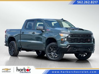 New 2025 Chevrolet Silverado 1500 Custom Trail Boss w/ Turbomax Blackout Package