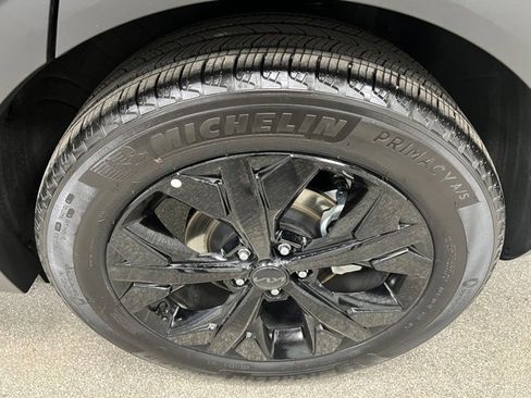 Used 2025 Kia Sportage X-Line Prestige image 14