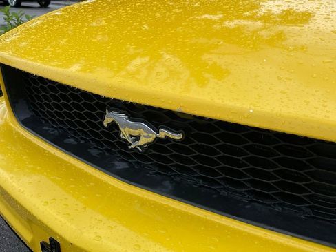 Used 2005 Ford Mustang Coupe RWD image 4