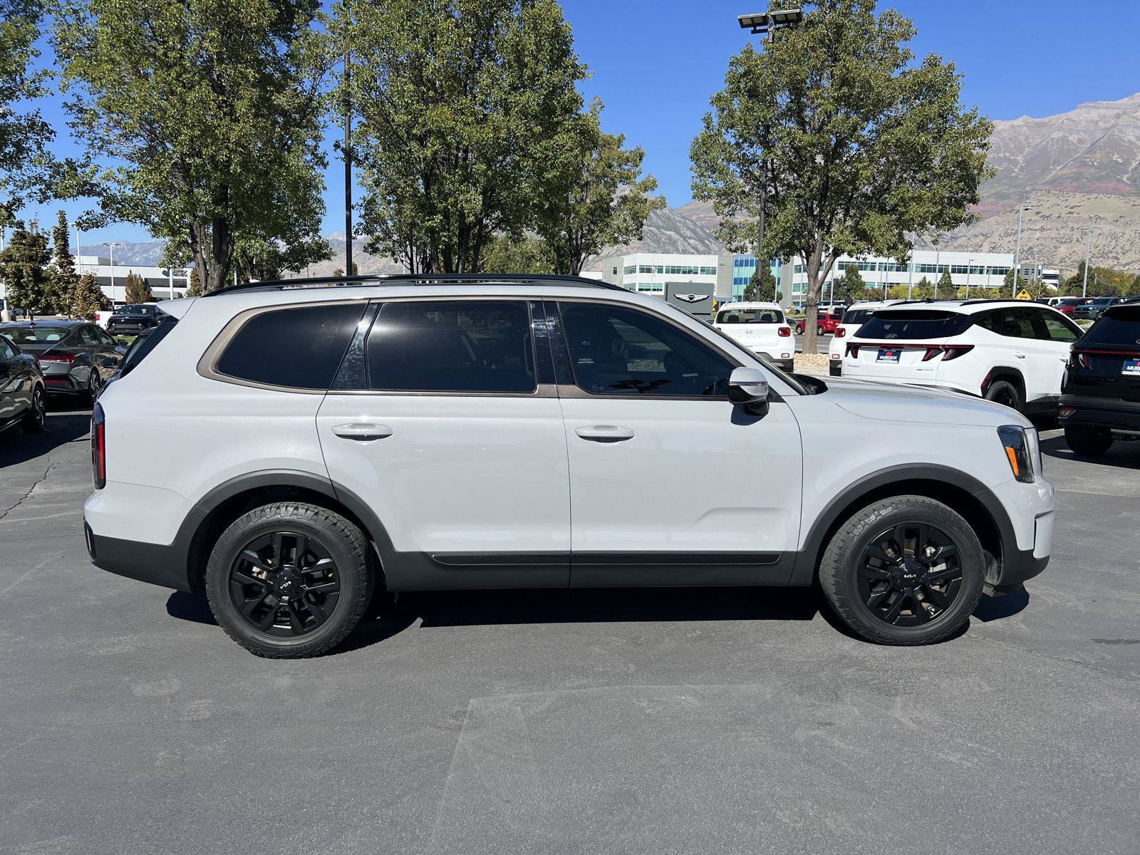 Used 2024 Kia Telluride SX Prestige X-Pro AWD/4WD image 17
