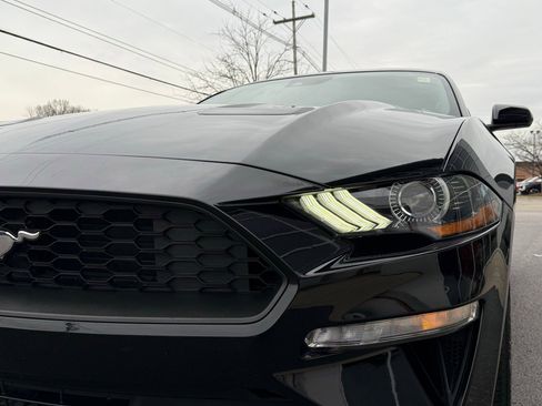 Used 2020 Ford Mustang EcoBoost w/ Equipment Group 101A image 12