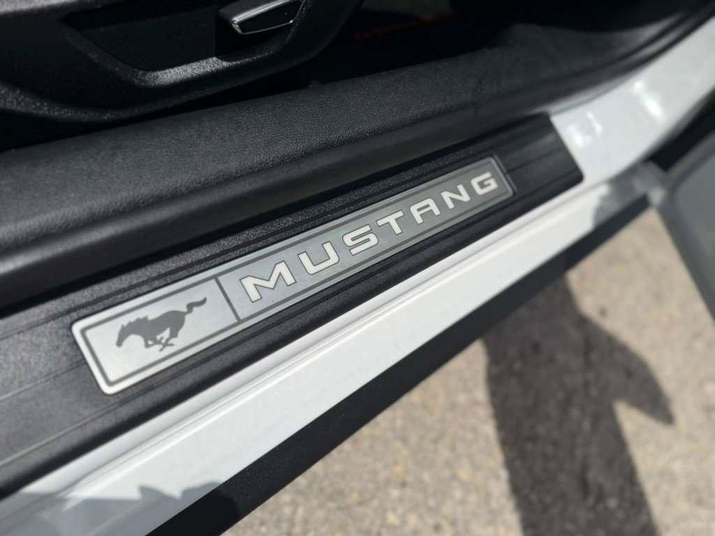 Used 2019 Ford Mustang GT Premium w/ Equipment Group 401A RWD image 19