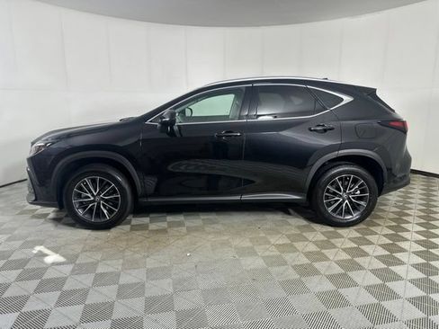 Used 2025 Lexus NX 350 AWD w/ Cold Area Package image 4