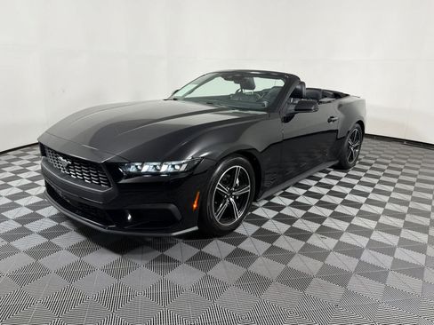 Used 2024 Ford Mustang Premium RWD image 3