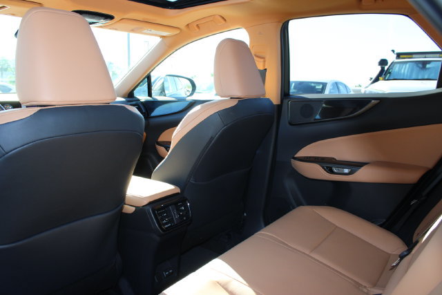 Certified 2024 Lexus NX 350h AWD w/ Cold Area Package image 9