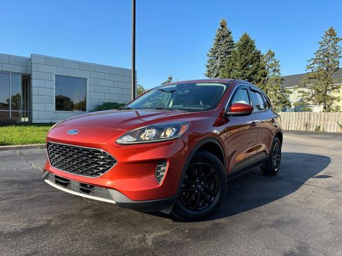Used 2020 Ford Escape SE AWD/4WD image 3