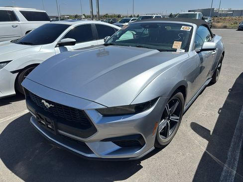 Used 2025 Ford Mustang Premium RWD image 1