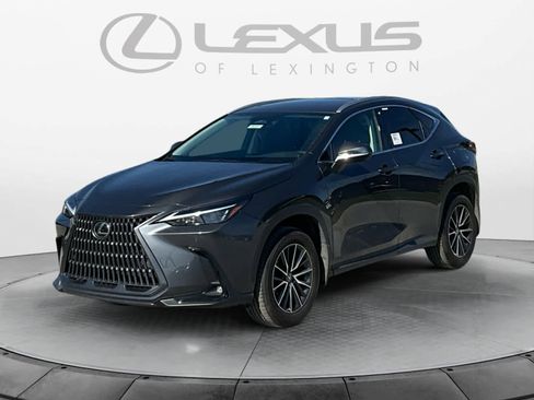 Certified 2025 Lexus NX 350h AWD w/ Cold Area Package image 1