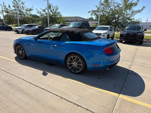 Used 2019 Ford Mustang Premium w/ Equipment Group 201A RWD image 5
