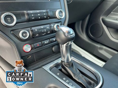 Used 2019 Ford Mustang Coupe RWD image 13