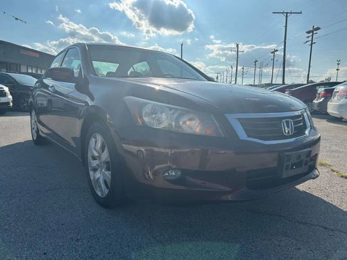 Used 2010 Honda Accord EX-L image 7