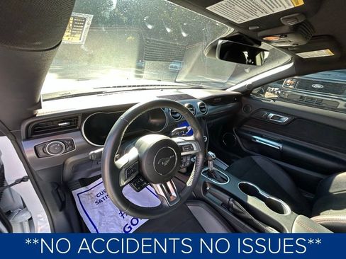 Used 2023 Ford Mustang GT Premium w/ Equipment Group 401A image 2