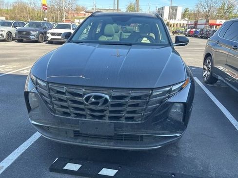 Used 2024 Hyundai Tucson Limited image 2