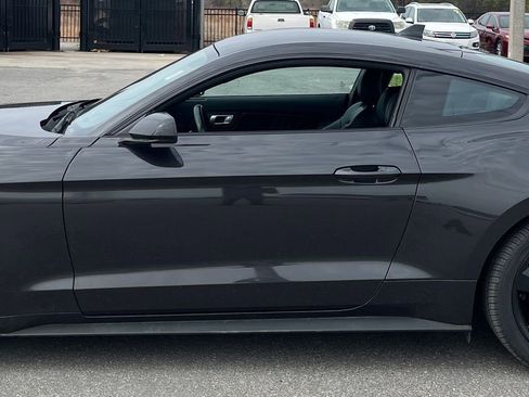 Used 2023 Ford Mustang Premium w/ Mustang Nite Pony Package image 5