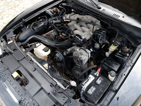Used 1999 Ford Mustang Coupe RWD image 38