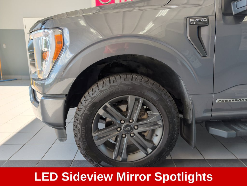 Used 2023 Ford F150 XLT w/ Equipment Group 302A High AWD/4WD image 38
