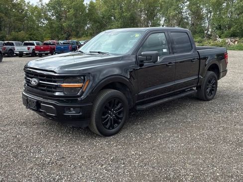 Used 2024 Ford F150 XLT w/ Equipment Group 303A High AWD/4WD image 2