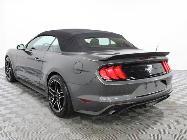 Used 2019 Ford Mustang Premium RWD image 5