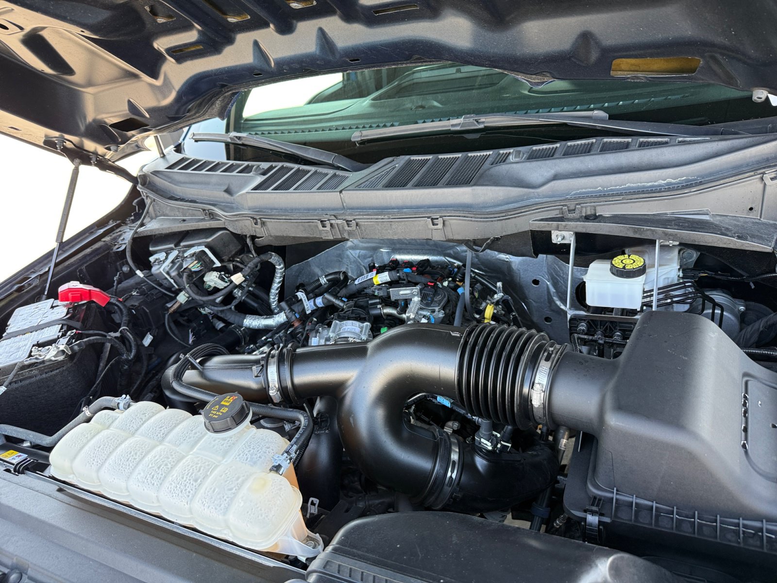 Used 2024 Ford F150 STX RWD image 12