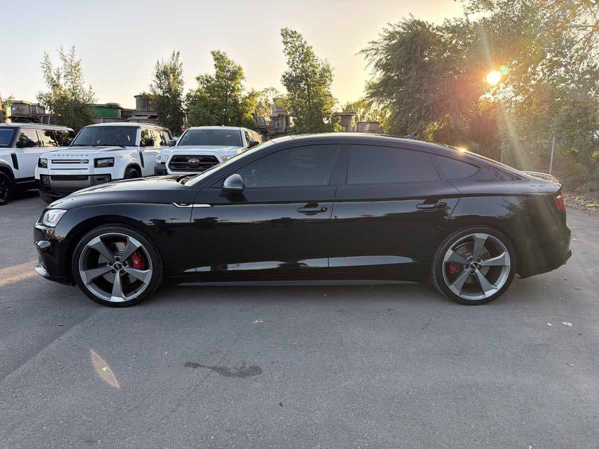 Used 2019 Audi S5 Premium Plus w/ Premium Plus AWD/4WD image 4
