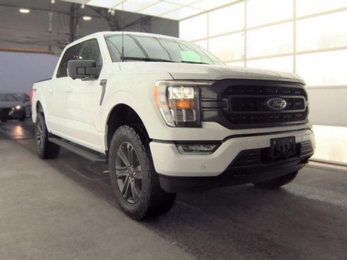 Used 2023 Ford F150 XLT w/ Equipment Group 302A High AWD/4WD image 3