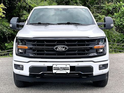 Used 2025 Ford F150 XLT w/ Equipment Group 303A High AWD/4WD image 2