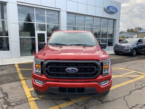 Used 2023 Ford F150 XLT w/ Equipment Group 302A High image 8